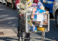 Bella S Volunteers-13