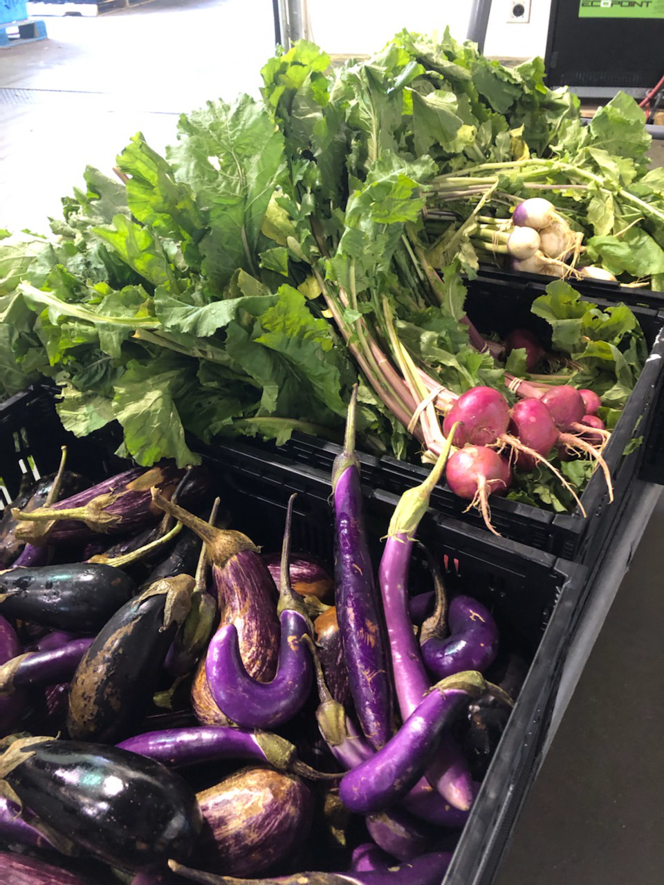 Bellair Farm donation via UAC