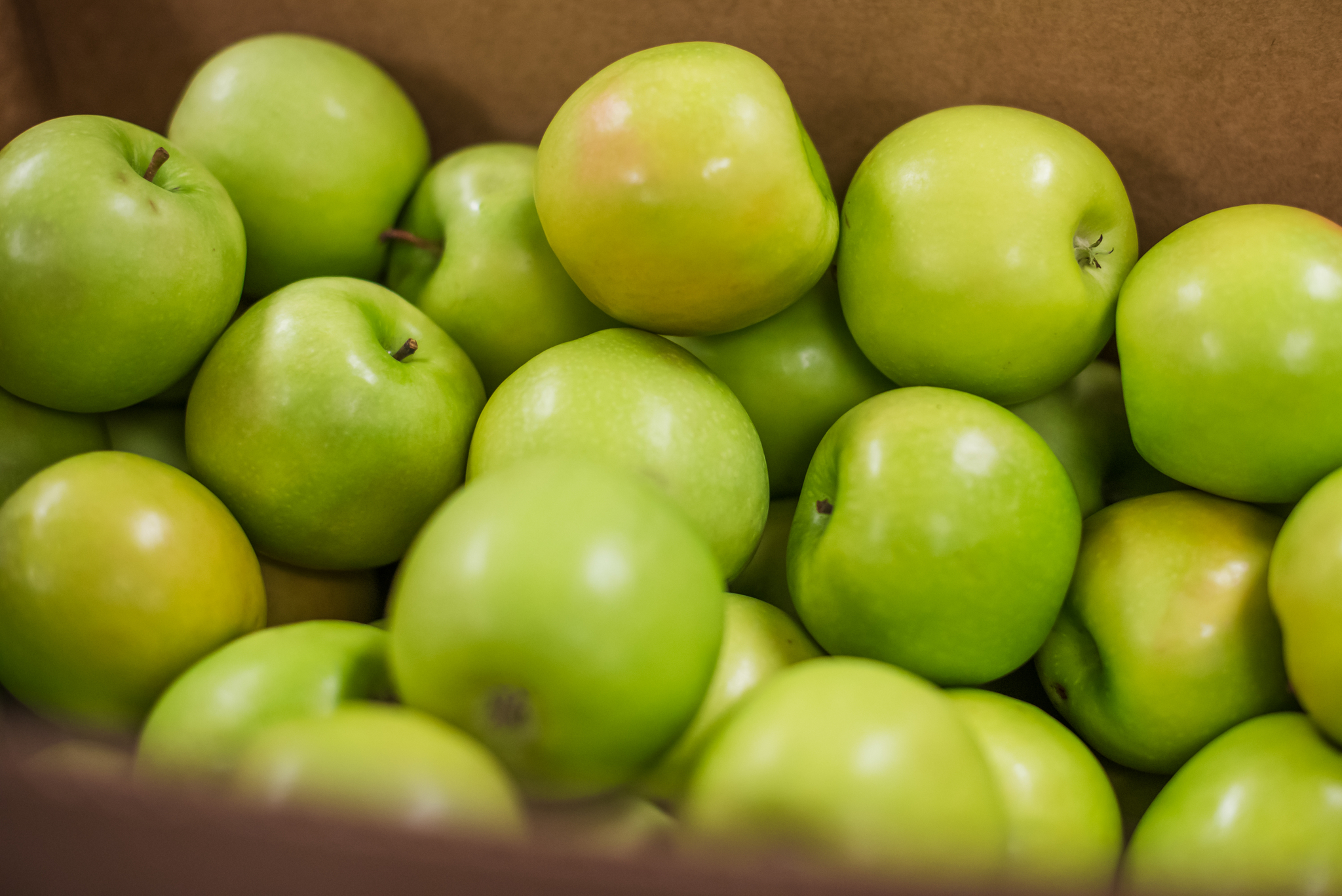 Loaves and Fishes food Dec 23-15